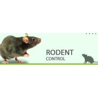 Sams Mouse Control Service Hobart image 3